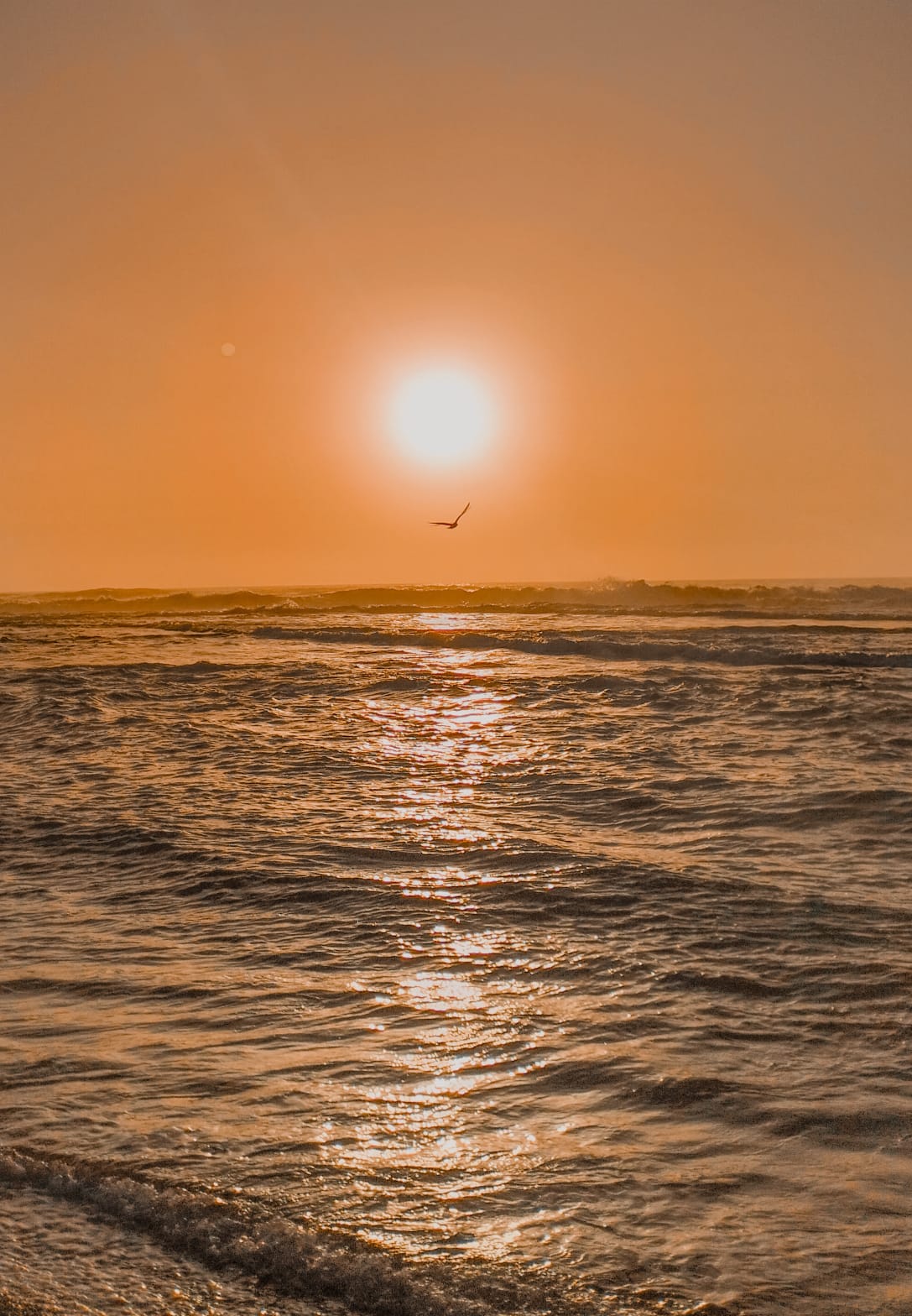 Sunset Pic 2